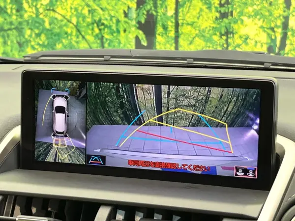Lexus NX300 I Package 4WD — photo 8