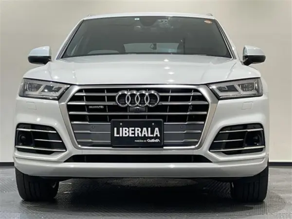 Audi Q5 40 TDI Quattro Sport S line Package Diesel Turbo 4WD S line Package S line Bumper Alcantara/Leather S line Logo Multi-Color Ambient Lighting Decorative Panel Matt Brushed Aluminum Assistance Package MMI Navigation (Glacier White Metallic) — photo 9