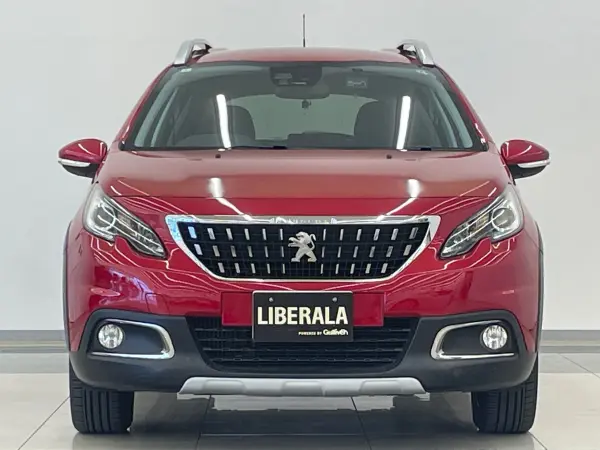 Peugeot 2008 Cross City Special Edition — photo 8