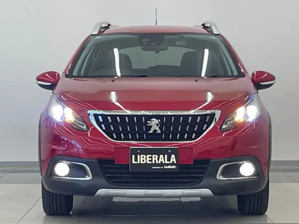 Peugeot 2008 Cross City Special Edition — photo 9