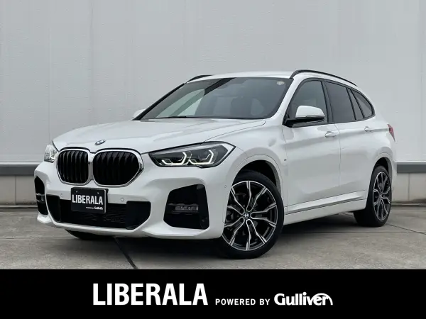 BMW X1 xDrive 18d M Sport 4WD