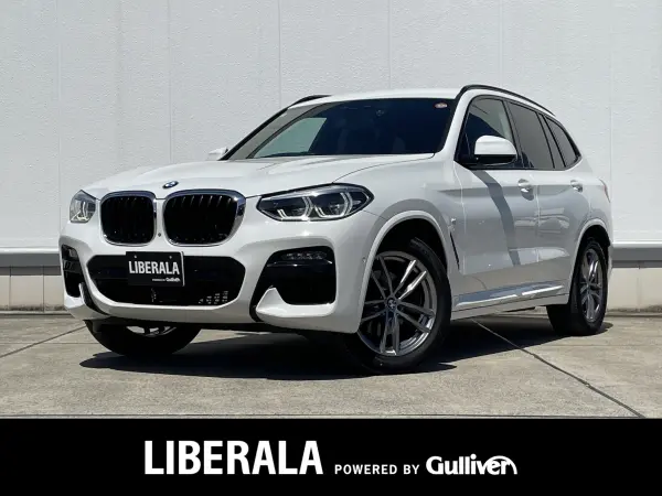 BMW X3 xDrive20d M Sport Diesel Turbo 4WD Panoramic View Monitor Head-Up Display Driving Assistant Plus Park Assistant Plus Power Seat with Seat Memory Seat Heater Blind Spot Monitor Power Back Door (White)