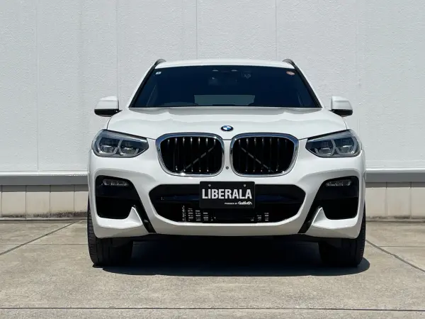 BMW X3 xDrive20d M Sport Diesel Turbo 4WD Panoramic View Monitor Head-Up Display Driving Assistant Plus Park Assistant Plus Power Seat with Seat Memory Seat Heater Blind Spot Monitor Power Back Door (White) — photo 9
