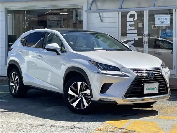 2021 Lexus Nx — photo 2