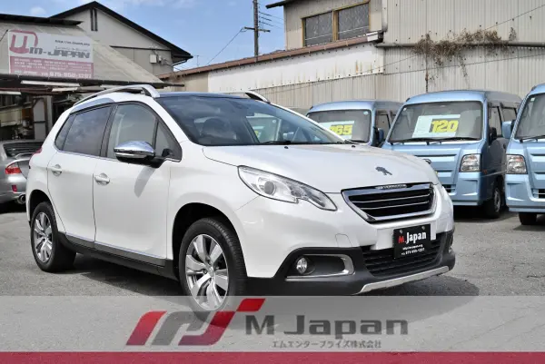 Peugeot 2008 Cielo