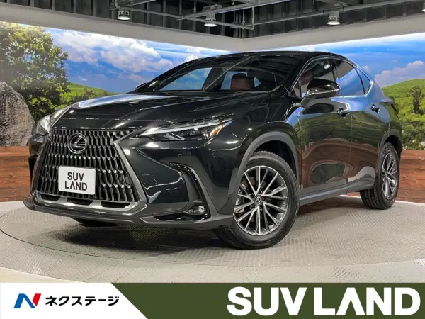 Lexus NX250 4WD