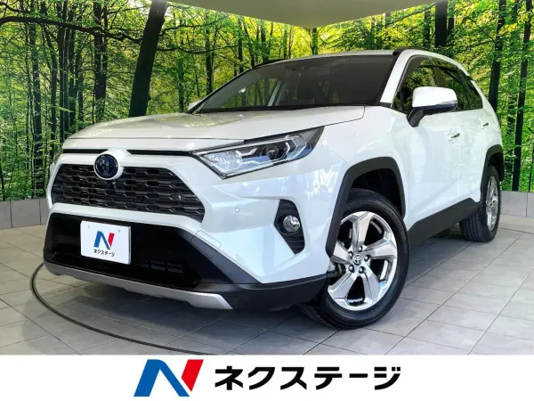 Toyota RAV4 2.5 Hybrid G E-Four 4WD