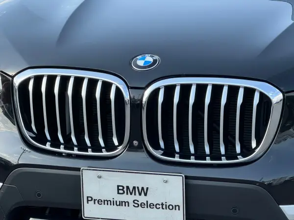 2019 Bmw X3 — photo 3