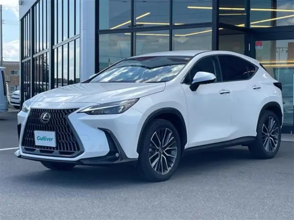 Lexus NX250 Genuine Display Audio ETC BT USB (Gun Metallic) — photo 8