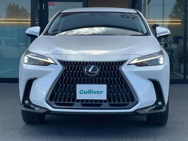 Lexus NX250 Genuine Display Audio ETC BT USB (Gun Metallic) — photo 9