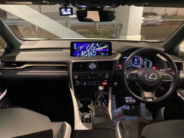 Lexus RX300 F Sport — photo 8
