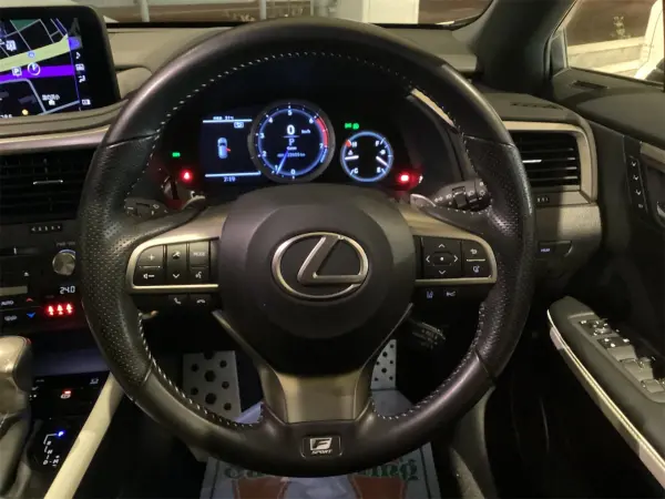 Lexus RX300 F Sport — photo 9