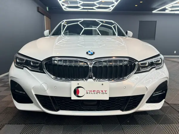 2019 Bmw 3 Series — photo 2 | Tuminion Kenya
