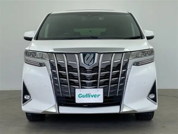 2019 Toyota Alphard — photo 8 | Tuminion Kenya