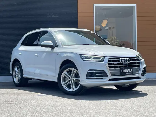 Audi Q5 40 TDI Quattro Sport S line Package Diesel Turbo 4WD — photo 9