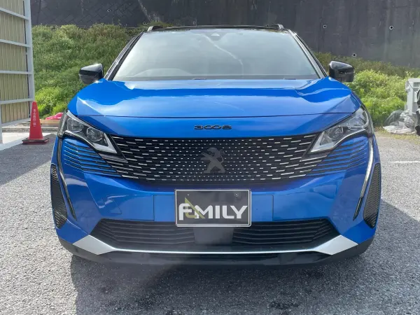 2022 Peugeot 3008 — photo 2