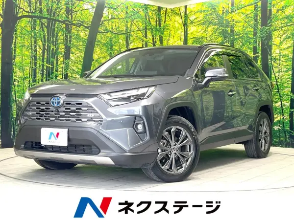 Toyota RAV4 2.5 Hybrid G E-Four 4WD