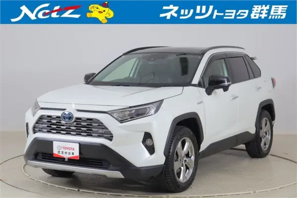 Toyota RAV4 2.5 Hybrid G E-Four 4WD