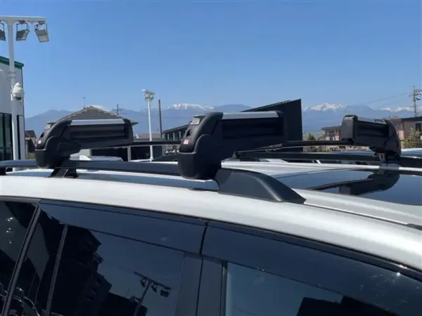 2024 Toyota Landrcuiser 300 — photo 3