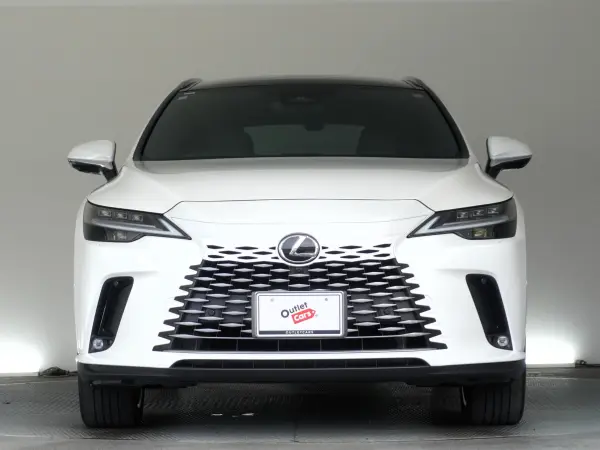 2024 Lexus Rx — photo 2
