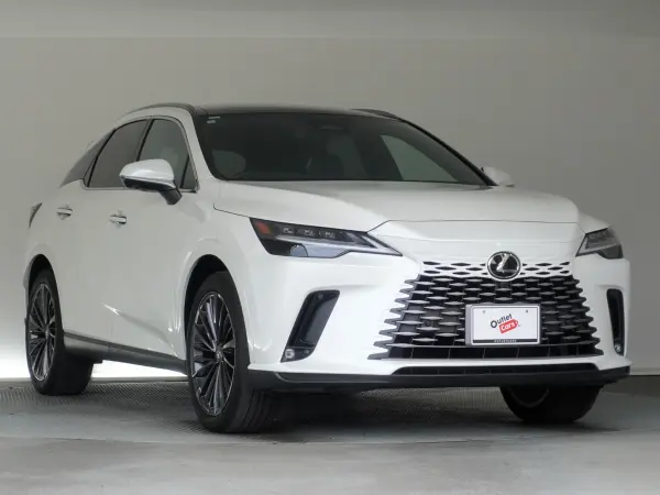 2024 Lexus Rx — photo 3