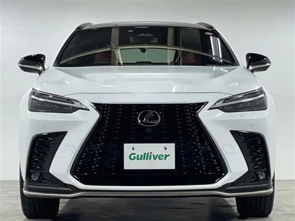 Lexus NX 350h F Sport — photo 9