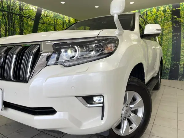 Toyota Land Cruiser Prado 2.7 TX 4WD — photo 8