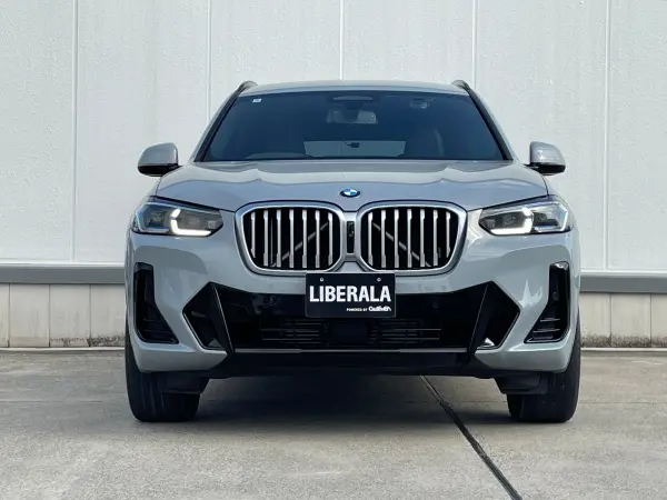 BMW X3 xDrive20d M Sport Diesel Turbo 4WD One Owner Genuine Navigation/DTV 360 Camera Black Leather Seat Heater Power Back Door Head Up Display ACC BSM Lane Keep Assist (Brooklyn Grey Metallic) — photo 9
