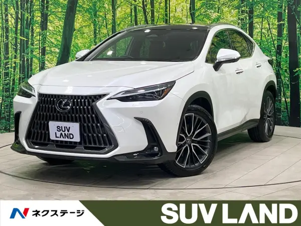 Lexus NX 350h Version L 4WD