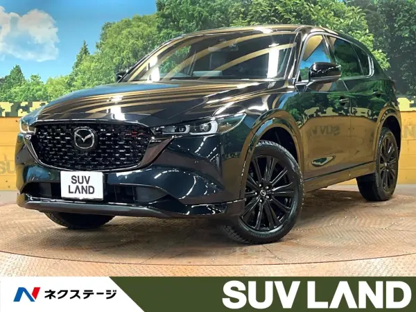 Mazda CX-5 2.5 25S Sport Appearance Non-Smoking Car 10-inch Navigation Around-View Camera Power Back Door Steering Heater Seat Heater Radar Cruise Collision Mitigation Clearance Sonar Power Seat LED Headlights Genuine 19-inch Alloy Full Seg (Jet Black Mica)