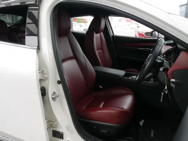 Mazda MAZDA3 Fastback 1.8 XD Burgundy Selection Diesel Turbo 4WD — photo 9