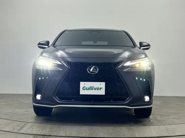 2025 Lexus Nx — photo 9 | Tuminion Kenya