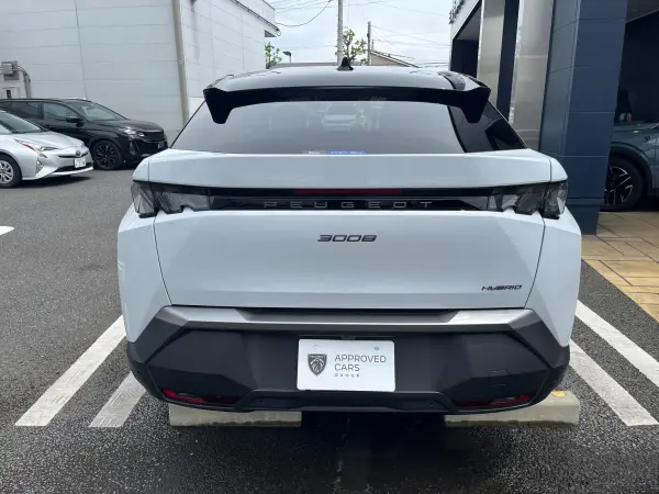 2025 Peugeot 3008 — photo 3