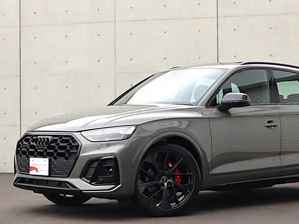 Audi SQ5 3.0 4WD Leather P 21AW Panoramic Sunroof Adaptive S Sport Air Suspension Black Styling P Red Calipers Comfort P Adaptive Cruise Control Side Assist Lane Keep ETC (Chronos Grey Metallic) — photo 8