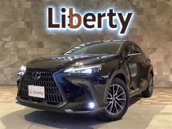 Lexus NX250
