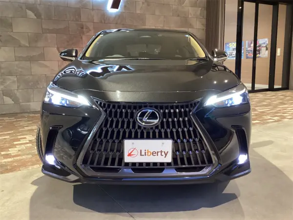 2025 Lexus Nx — photo 2