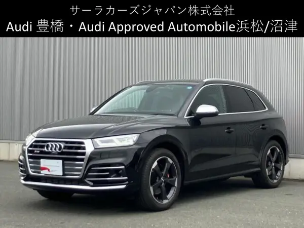 Audi SQ5 3.0 4WD — thumbnail 1
