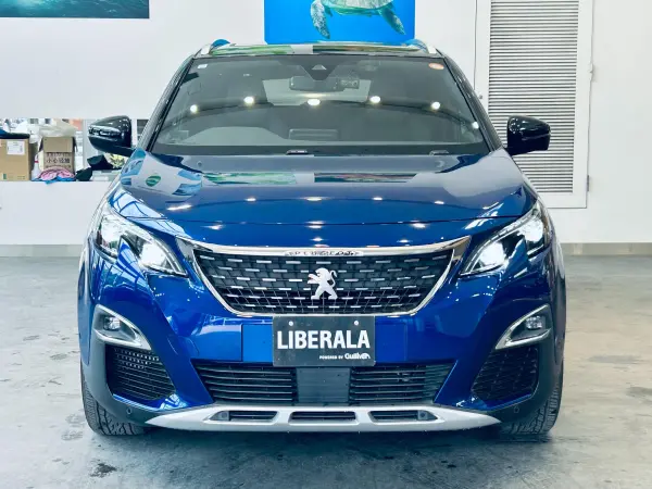 Peugeot 3008 GT Blue HDi Diesel Turbo — photo 8