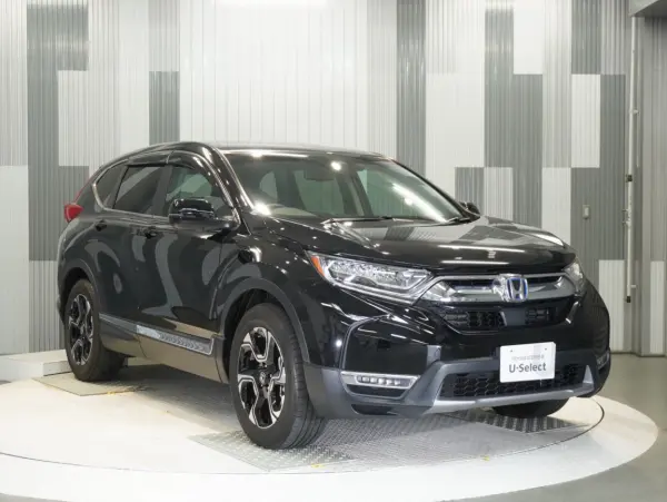 Honda CR-V 2.0 e:HEV EX — photo 8