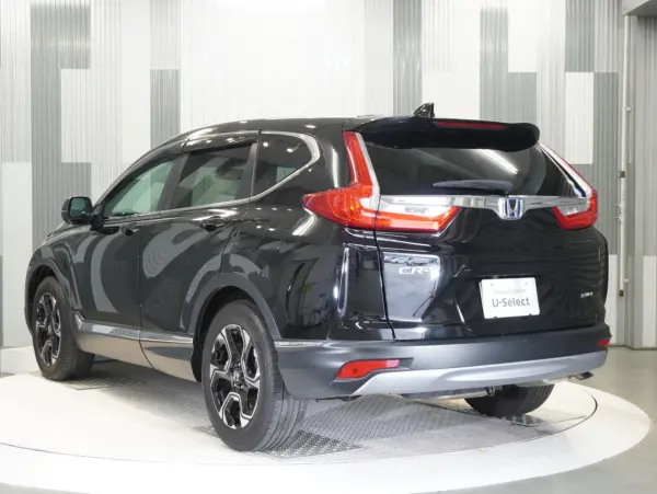 Honda CR-V 2.0 e:HEV EX — photo 9