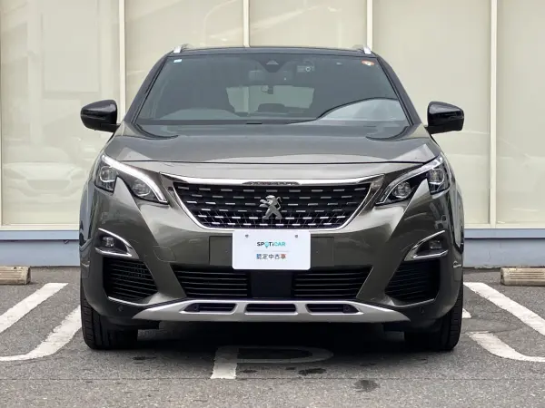 2019 Peugeot 3008 — photo 3