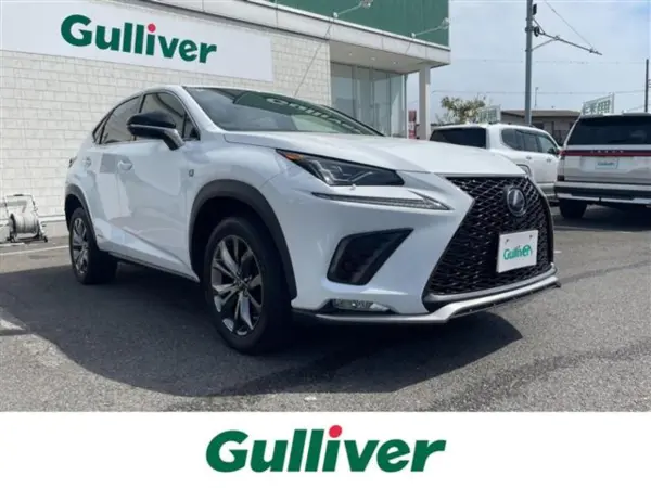 Lexus NX300h F Sport SR Black Leather Around View Camera (White)