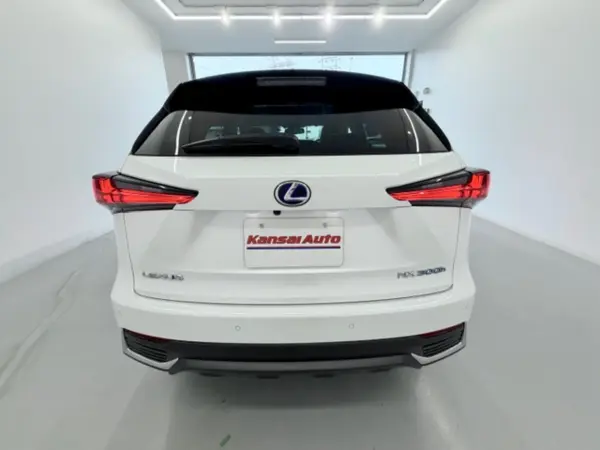 2019 Lexus Nx — photo 3
