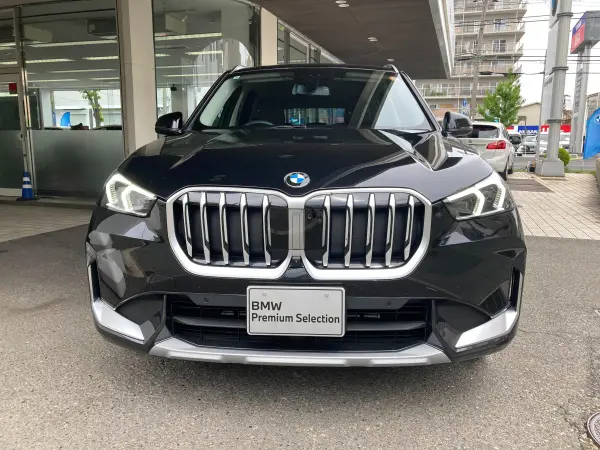BMW X1 xDrive20d xLine DCT Diesel Turbo 4WD — photo 7