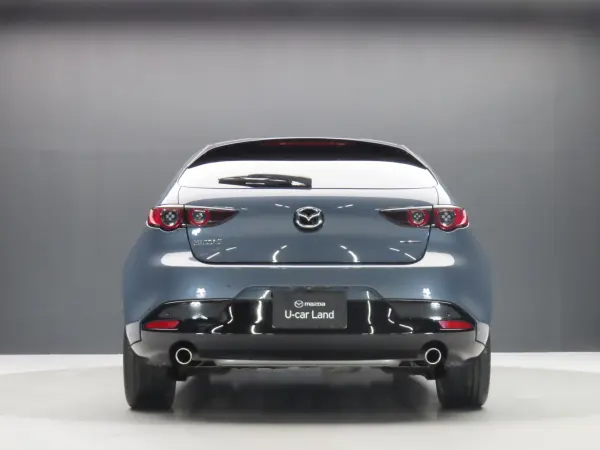 Mazda Mazda3 Fastback 2.0 20S Proactive Touring Selection BOSE Navi Full Seg 360° Camera ETC (Polymetal Grey Metallic) — photo 9