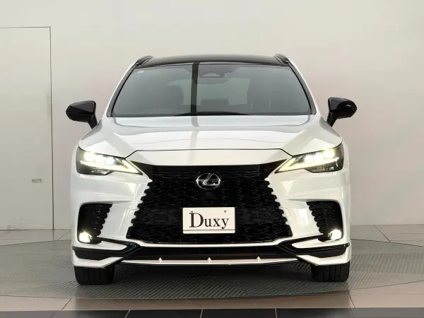 2023 Lexus Rx — photo 2