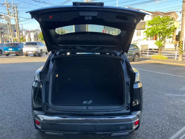 Peugeot 3008 GT Hybrid4 4WD — photo 8