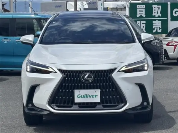 Lexus NX 350h — photo 8