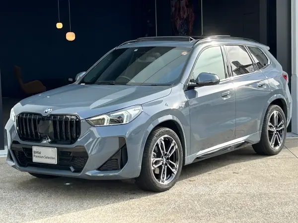BMW X1 xDrive20i M Sport DCT 4WD — thumbnail 1