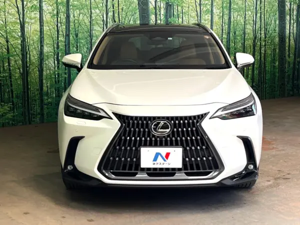 2023 Lexus Nx — photo 9 | Tuminion Kenya